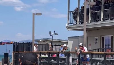 Gigantic bear strolls through panicked crowds at Lake Tahoe beach