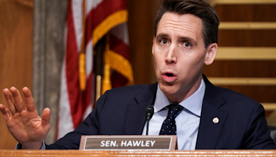 Hawley rips Biden plan shielding 500K illegal immigrants from deportation: 'Unacceptable'