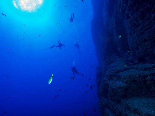 Qué es el extraño ‘oxígeno oscuro’ que encontraron en el fondo del mar y por qué las mineras están interesadas - La Tercera