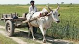 Telangana farm loan waiver may bring another shocker to banks, say experts