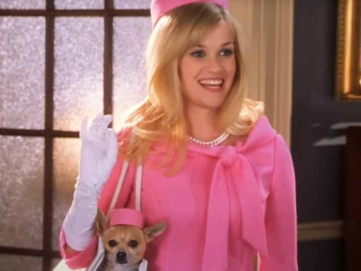 Jamie Suk’s Legally Blonde 3: Everything To Know About Next Installment Of The Reese Witherspoon Starrer