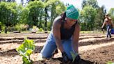 New community garden in Keizer will help feed low-income Oregonians of color