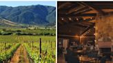 Estas son las 10 casas vinícolas favoritas de los turistas en Valle de Guadalupe