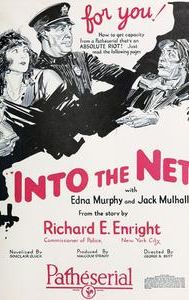 Into the Net