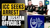 International Court Issues Arrest Warrants for Russian Officials Over Ukrainian Power Plant Attacks