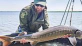 Senate resolution would protect lake sturgeon