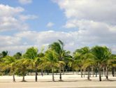 Crandon Park