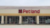 Manatee County poised to fold on retail pet sales ban in face of Petland lawsuit