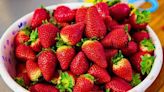 Strawberry lovers share simple way to keep fruit fresh for up to 7 days longer