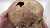Un estudio del sarro en dientes de miles de años muestra un aspecto desconocido de los humanos del Paleolítico