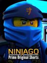 Ninjago: Prime Original Shorts