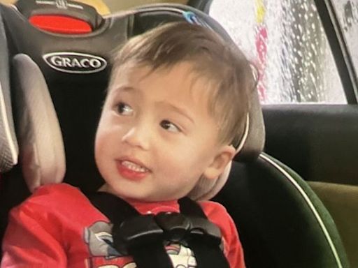 Remains of Elijah Vue, Wisconsin toddler missing since February, found in thick wooded area