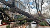 California: Inundaciones en Montecito obligan evacuaciones