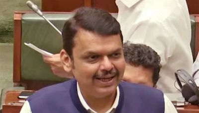 Devendra Fadnavis Tackles Opposition's "Udta Punjab" Jibe In Pune Porsche Crash