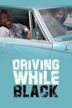 Driving While Black (film)