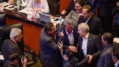 ‘Se llevan y no se aguantan’: Mancera y Cravioto a punto de los golpes en el Senado (VIDEO)