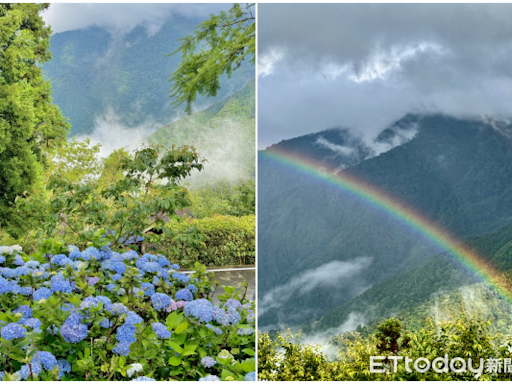 直擊「雪霸農場繡球花」現況！客房全更新 咖啡廳賞雲海、夕陽