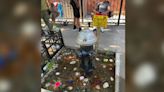 Brooklyn’s viral fire hydrant aquarium that sparked a ‘goldfish heist’ now under fire from PETA