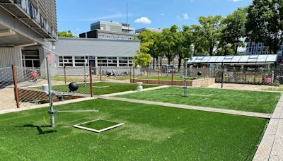 Self-cooling artificial grass could help cities handle extreme weather