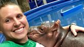 Like mom, like Bibi. Cincinnati Zoo hippo keepers prepped for birth with motherly instinct