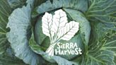 Change and transition at Sierra Harvest