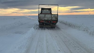 Frío extremo en Argentina: de Venado Tuerto a Tandil, las 15 ciudades que amanecieron con temperaturas bajo cero