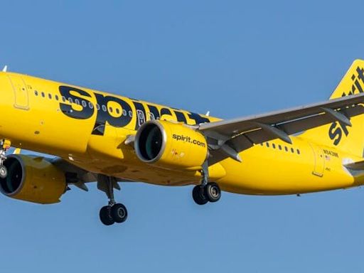 Spirit Airlines CEO Slams "Uninformed Government," Says Airline Industry Is A "Rigged Game" As The Company Struggles...