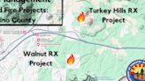 Arizona Department of Forestry to conduct prescribed burns near Flagstaff beginning on April 22