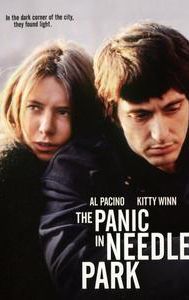 Panic in Needle Park