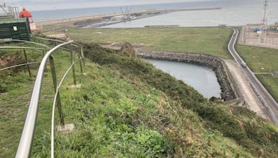 El Principado, sobre la planta de baterías del Puerto de Gijón: 'Seguiremos despejando trámites'