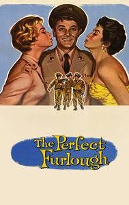 The Perfect Furlough