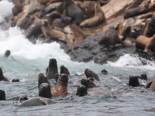 Perú presenta plataforma de venta de entradas para visitar sus áreas naturales protegidas