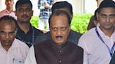 Will contest polls to local bodies alone, says Ajit Pawar