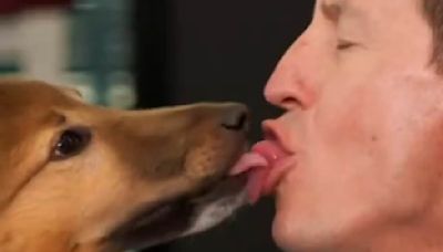 Rove McManus lets dog lick the inside of his mouth