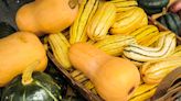 25 Types of Squash—and How to Use Them