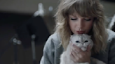 Taylor Swift's Cat, Olivia Benson, Has an Alleged Net Worth That's Out of This World