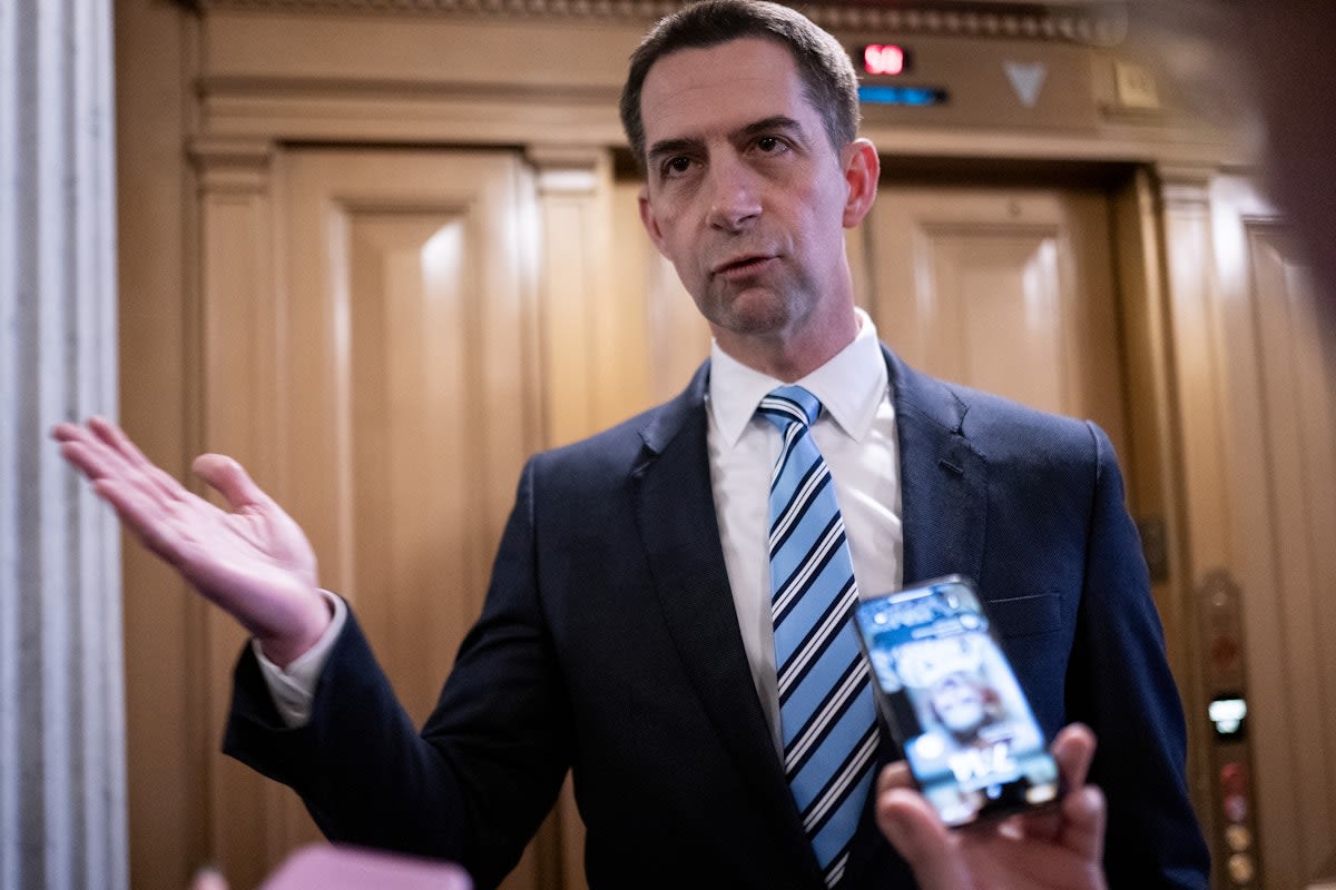 Watch: Tom Cotton Flails When Asked About Kamala Harris “Coup”