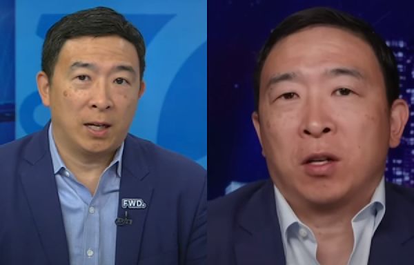 Andrew Yang says Dems should replace Biden as presidential nominee