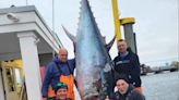 It’s huge fish season at the Jersey Shore. Boater reels in mammoth 772-pound tuna.