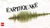 Madhya Pradesh's Khandwa shakes with 3.6 magnitude earthquake | Indore News - Times of India