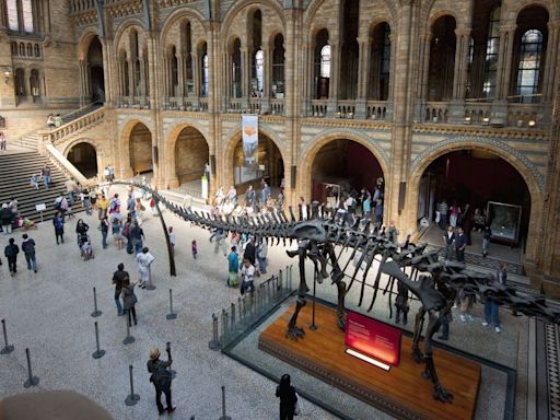 Natural History Museum to overhaul dinosaur exhibit for new climate display