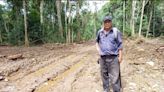 Ambientalistas enfrentan la destrucción de la Amazonía - El Diario - Bolivia