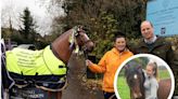 Woman to pull resin horse from Wales to Birmingham in daughter’s memory