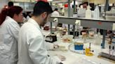 El Ministerio de Ciencia consolida 439 plazas en centros de investigación científica en España