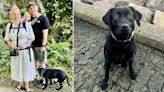 'Tricked' family say they didn't know £500 Gumtree dog needed £14,000 operation