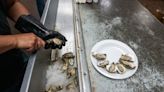 Oysters, through threats of drought and drilling, still a Tallahassee tradition | TLH 200