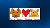 Beaver County Humane Society drops adoption costs for next week to help clear out kennels