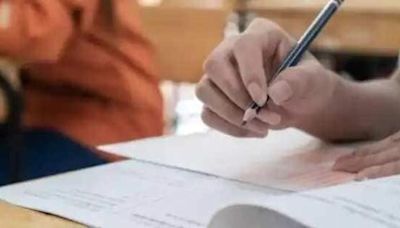 Rajasthan PTET Result out at ptetvmou2024.com; check details inside | Mint