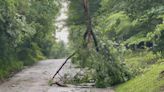 PHOTOS: Strong storms cause damage across Kentucky and southern Indiana