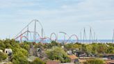 Fourteen injured as tree falls on rollercoaster at Spanish theme park